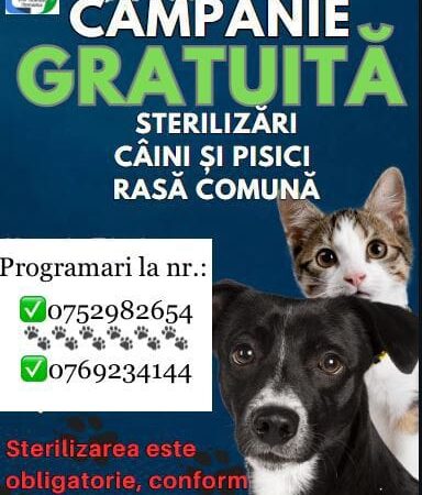Campanie de sterilizare gratuită a animalelor la Ciuperceni