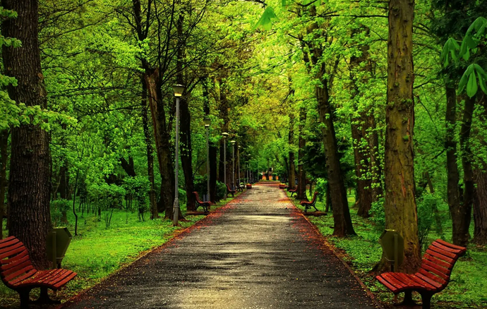 Parcul Central „Constantin Brâncuşi“ din Târgu Jiu va fi reabilitat