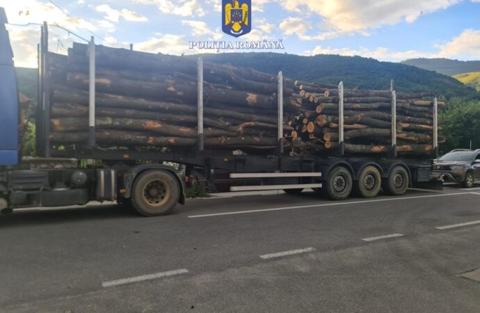 Prins transportând lemne fără documente de proveniență