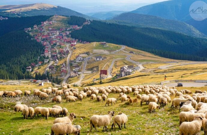 Festivalul Tocanului, pe 7 şi 8 octombrie, la Novaci