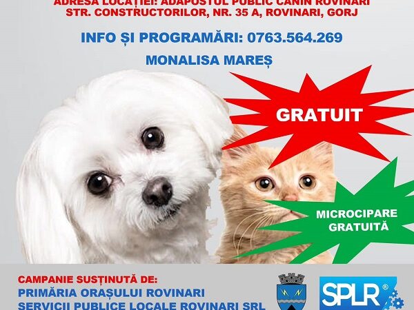 Campania de prevenție a abandonului și sterilizarea câinilor în Rovinari
