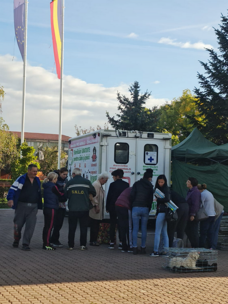 Campania de sterilizare din Motru, un real succes - 12 octombrie 2023 AccentNews.ro