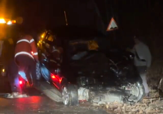 Cinci răniți, între care patru minori, după ce o mașină a intrat într-un pom