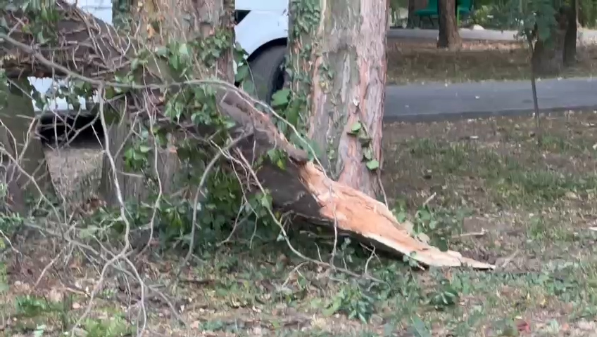 Mașină avariată de o bucată de copac în Parcul Central din Târgu Jiu - 25 iunie 2025 AccentNews.ro