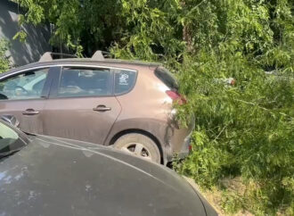 Mașină avariată de o bucată de copac în Parcul Central din Târgu Jiu
