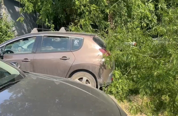 Mașină avariată de o bucată de copac în Parcul Central din Târgu Jiu