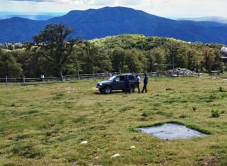 Intervenție a jandarmilor montani în zona Runcu