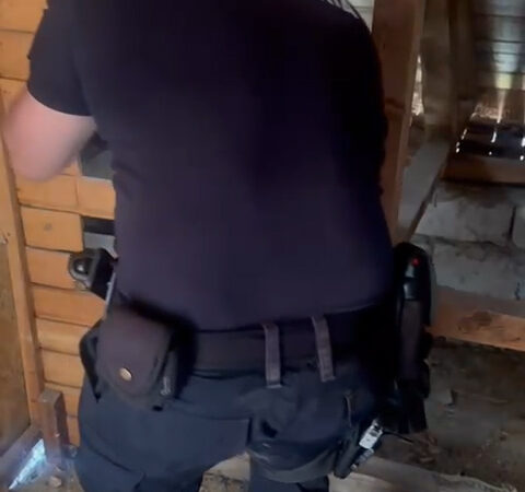 Jandarmii gorjeni au intervenit pentru îndepărtarea unui șarpe dintr-o zonă locuită 1 Jandarmii gorjeni au intervenit pentru îndepărtarea unui șarpe dintr-o zonă locuită