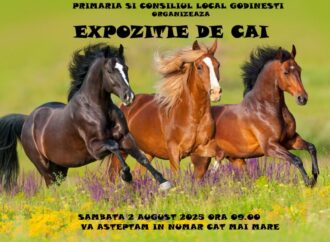 Festivalul Folcloric de la Godinești, ediția cu numărul 25