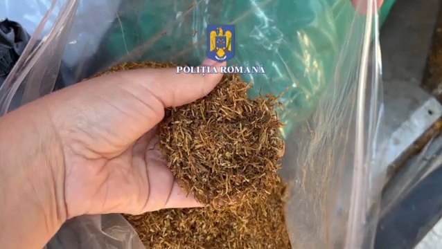 Aproximativ 250 de kilograme de tutun mărunțit, depistate de polițiștii doljeni 2 Aproximativ 250 de kilograme de tutun mărunțit, depistate de polițiștii doljeni - 15 iulie 2025 AccentNews.ro