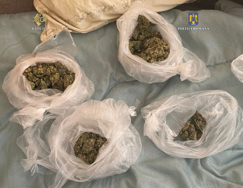 Cinci persoane, cercetate de polițiștii gorjeni pentru trafic de droguri 6 Cinci persoane, cercetate de polițiștii gorjeni pentru trafic de droguri - 25 iulie 2025 AccentNews.ro