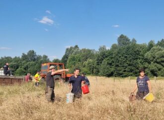 Voluntarii salvează puieții din Bengești-Ciocadia