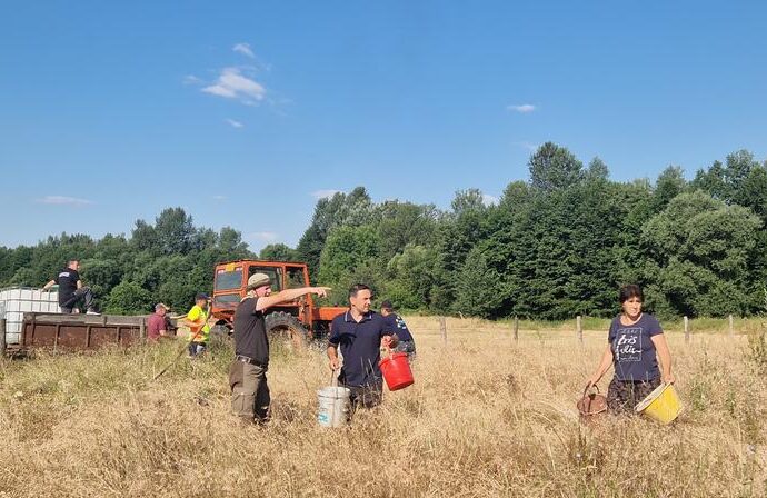 Voluntarii salvează puieții din Bengești-Ciocadia