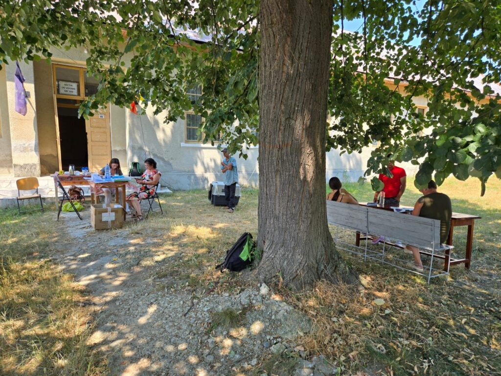 Clinica veterinară mobilă, în comuna Dănciulești - 7 iulie 2025 AccentNews.ro