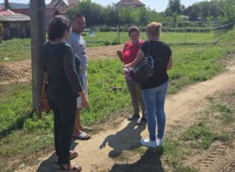 Campanie gratuită de sterilizare și microcipare a câinilor, la Bolboși, pe 26 și 27 august
