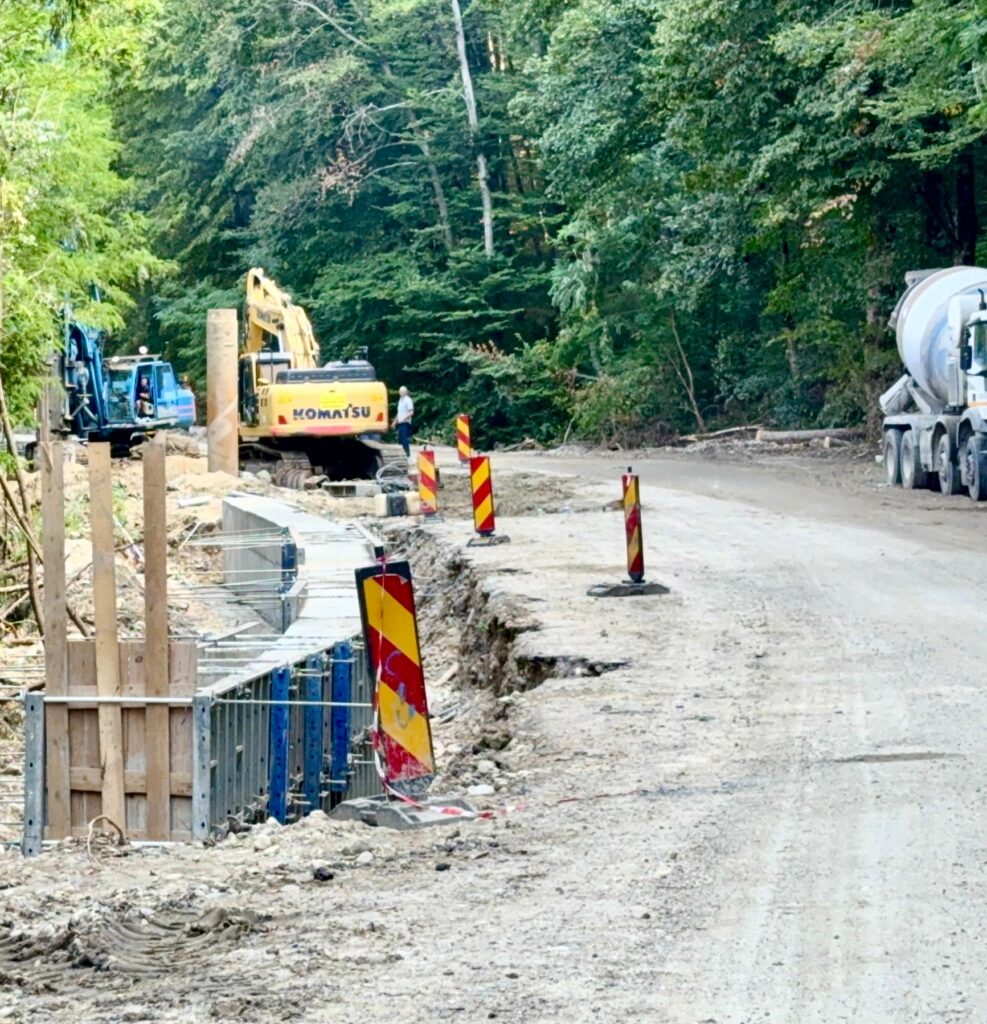 Consiliul Județean Vâlcea asfaltează drumul prin pădurea Șirineasa 5 Consiliul Județean Vâlcea asfaltează drumul prin pădurea Șirineasa - 8 august 2025 AccentNews.ro