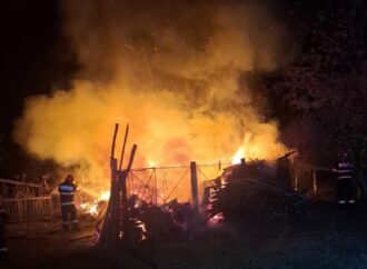 Magazie mistuită de flăcări la Berbești – pompierii au salvat locuința