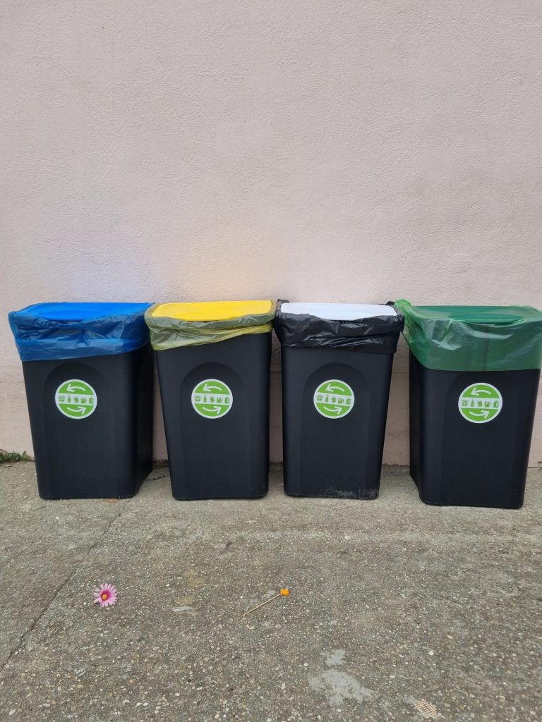 Elevii din Bărbătești învață despre reciclare și natură prin experiențe directe - 30 octombrie 2025 AccentNews.ro