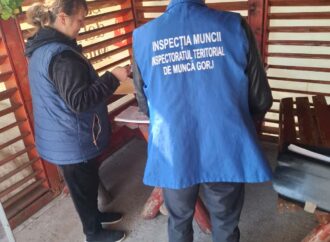 Controale ITM Gorj: Amenzi și cazuri de muncă la negru 1 Controale ITM Gorj: Amenzi și cazuri de muncă la negru