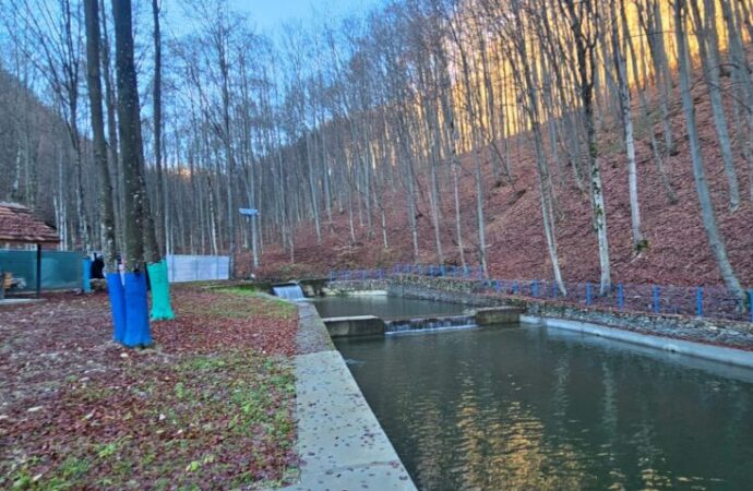 Investiții în rețeaua de apă din comuna Runcu