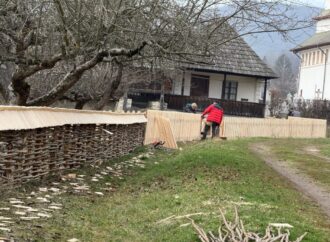 CJ Vâlcea restaurează Muzeul Satului