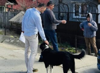 Campanie gratuită de sterilizare și microcipare a câinilor, la Ciuperceni