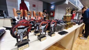 Târgu Jiu, centrul sporturilor de arte marțiale din Europa în perioada 15-16 noiembrie - 16 noiembrie 2025 AccentNews.ro