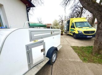 111 câini sterilizați în patru zile la Ciuperceni