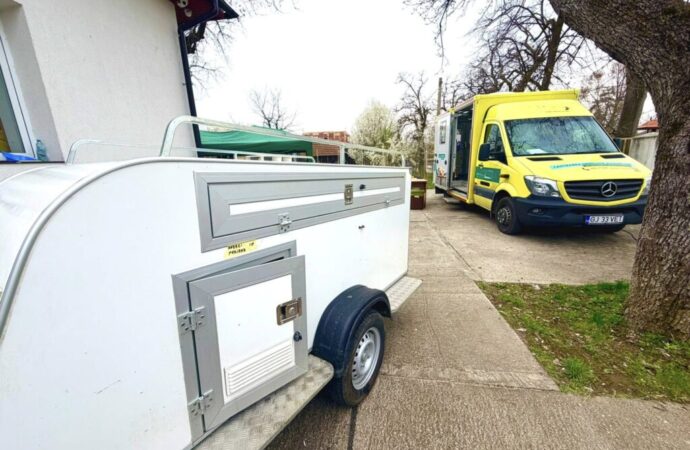 111 câini sterilizați în patru zile la Ciuperceni